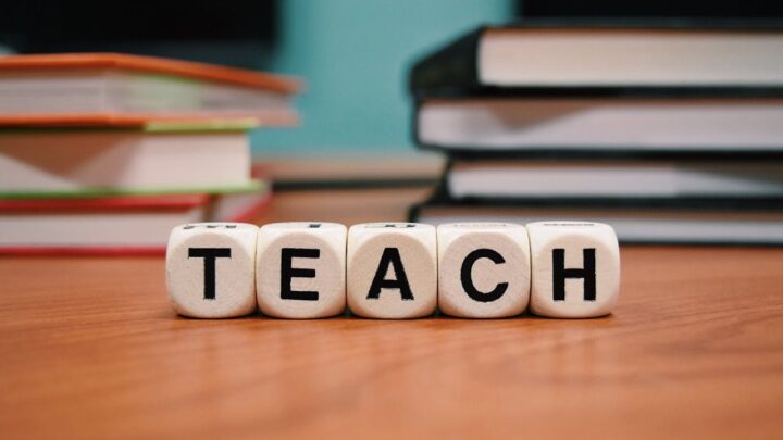 Como um sistema personalizado pode profissionalizar a gestão da sua escola de idiomas